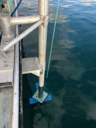 Multi-beam transducer in the water.