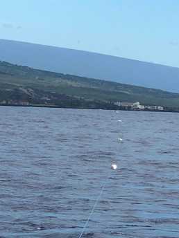 The 1 km Porpoise array nicely aligned​ with our survey boat. At the end of the array​ you can see the chase boat.